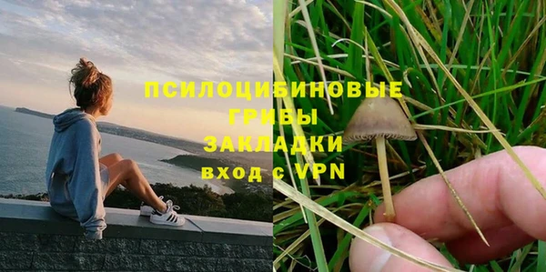 ГАЛЛЮЦИНОГЕННЫЕ ГРИБЫ Покровск