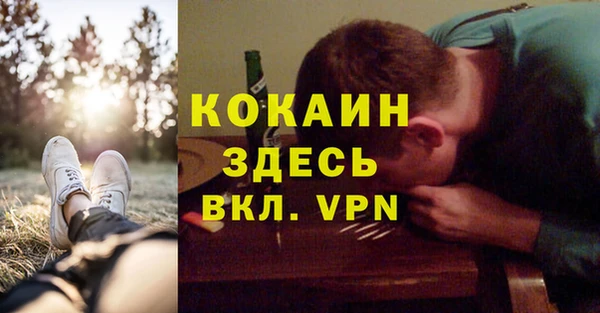 ГАЛЛЮЦИНОГЕННЫЕ ГРИБЫ Покровск