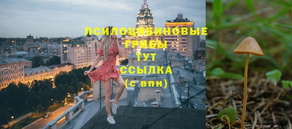apvp Покров