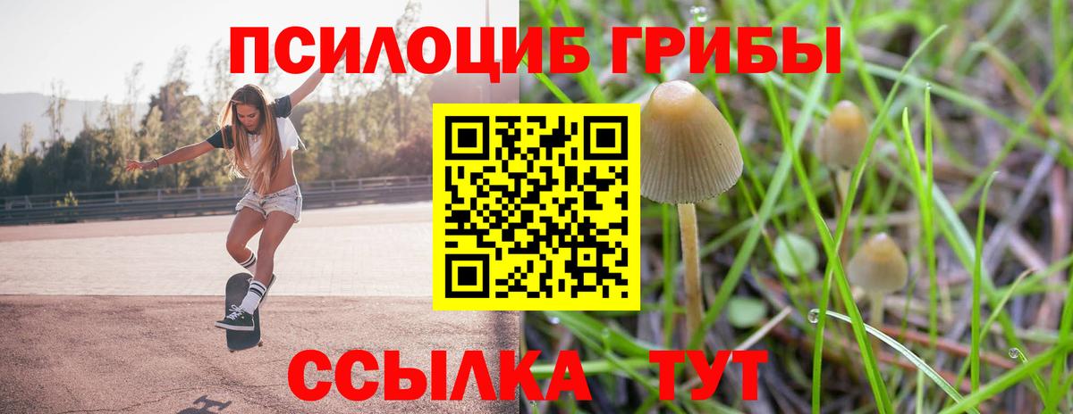 Галлюциногенные грибы мицелий  Вход с VPN  Невинномысск  Псилоцибиновые грибы GOLDEN TEACHER 