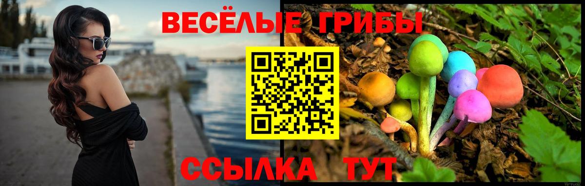 Псилоцибиновые грибы GOLDEN TEACHER Невинномысск